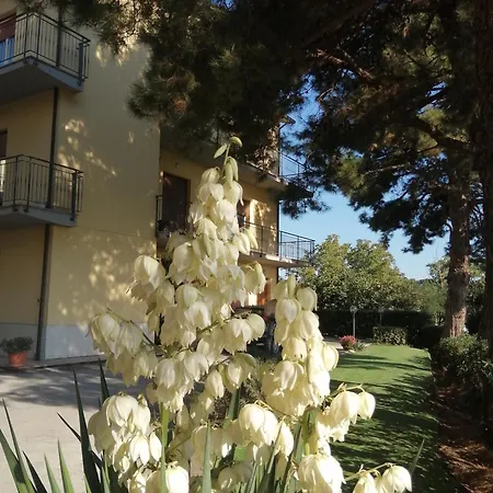 招待所 Roberta 3*