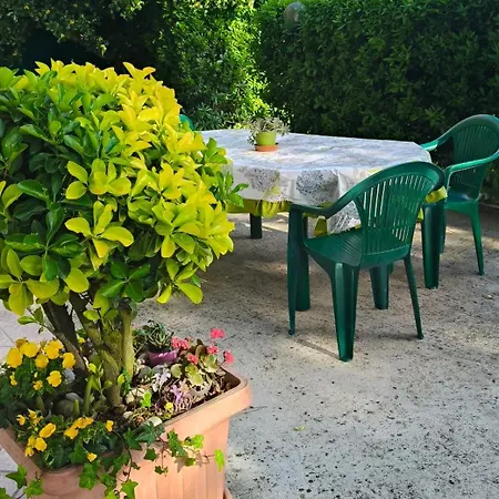 Guest house Roberta *