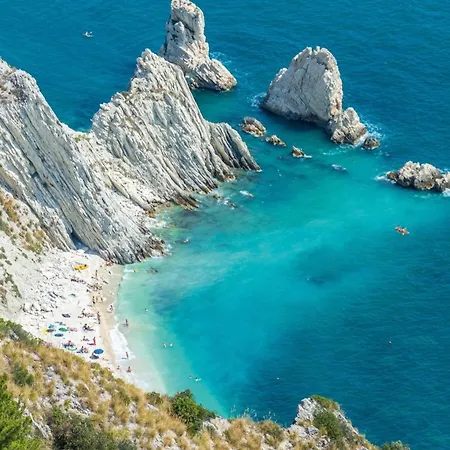 Roberta 招待所 奥西莫